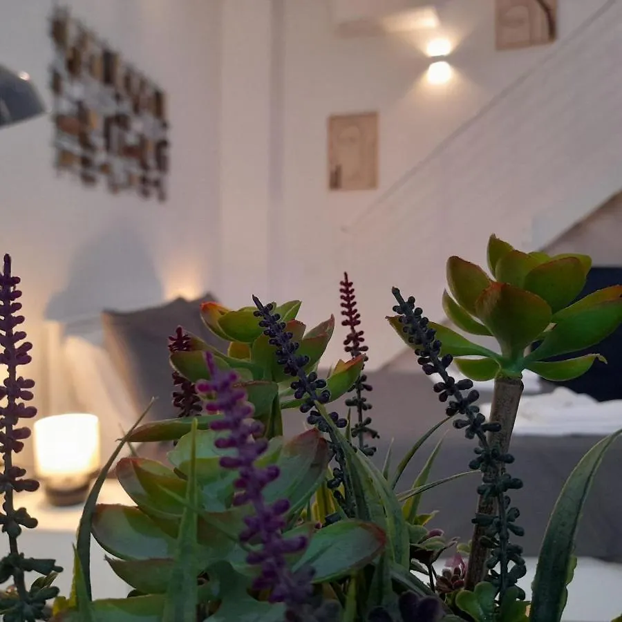 Miriam Loft S.Orsola Bologna Apartment